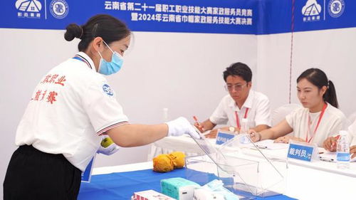 云南省家政服務(wù)技能大賽暨家政進(jìn)社區(qū)推廣示范活動啟動