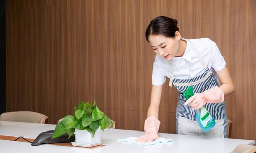 帶上家人,來香蜜小鎮(zhèn)安穩(wěn)避世,白天游山玩水,夜晚住進山水里